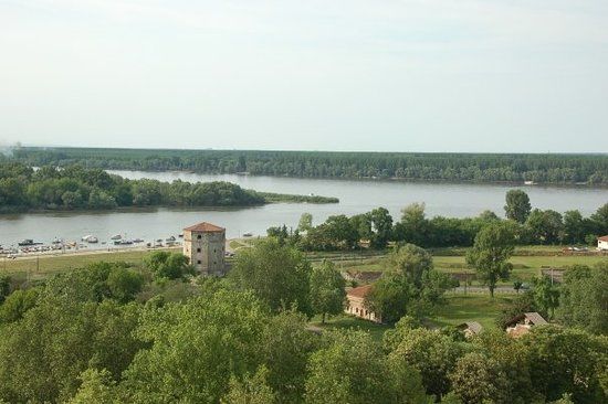 Catedrala Sfântul Sava